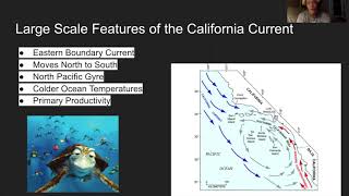 RockyShores Physical Oceanography