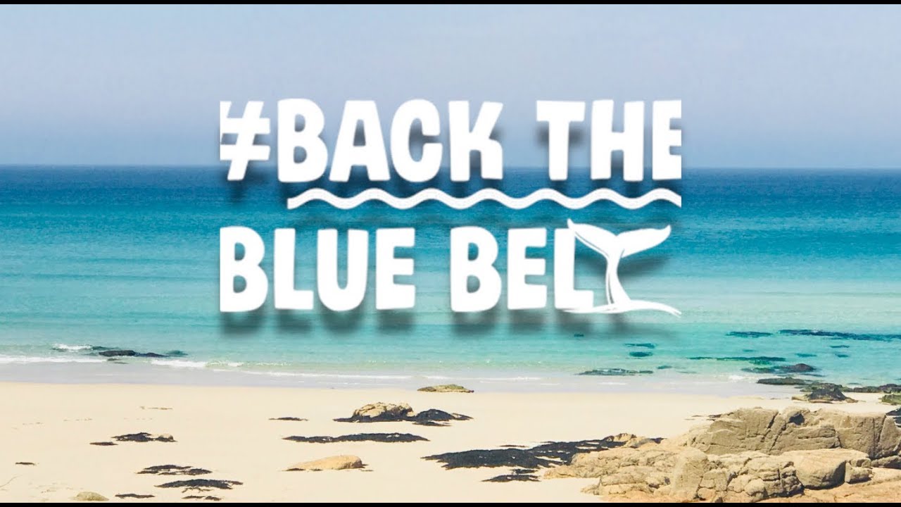 Back the Blue Belt - YouTube