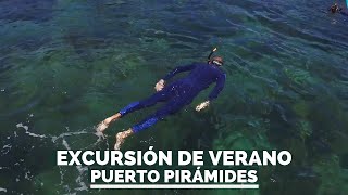 PUERTO PIRÁMIDES 🌊 EXCURSIÓN DE VERANO