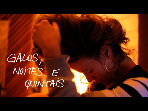 Ana Cañas -