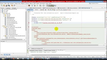 aula 5250 java para web III   JSTL FMT Internacionalizando cadastro de pessoas opcao de escolher idi