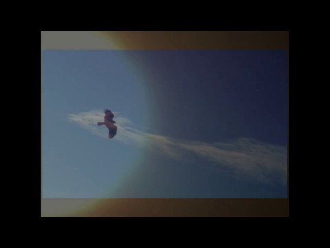 「Release」 【02MA RECORDS】11th.『Release』 タイトルTune 視聴予告編！
