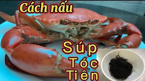 Cách nấu súp tóc tiên hải sản
