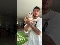 Dogs Don T Want To Be Pointed At DogTok DogFails2025 DogsOfspring DogVsOwner Petfyp Usa Dogs Don T Want To Be Pointed At DogTok DogFails2025 DogsOfspring DogVsOwner Petfyp Usa