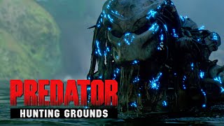 👽Patch 2.50 Game is Supporting Again. Stream in 2K.Predator Hunting Grounds Live 05.04.24 🤠🤠🤠🤠