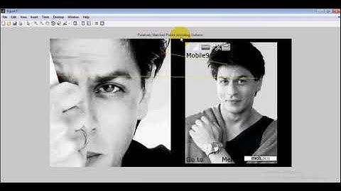 Robust point set matching for partial face recognition