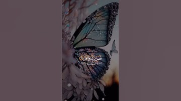 سورة الكوثر #حب_الله_هو_الراحة #اكسبلور #quran #لايك #قران_كريم #حالات_واتس