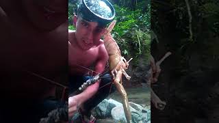 Atzalan río papalocuautla