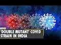 Double mutant Coronavirus strain adds to India COVID-19 woes | Latest English News | World News