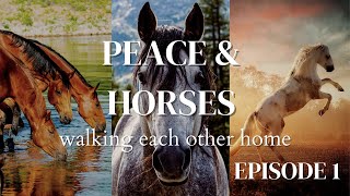 Peace &amp; Horses Episode 1