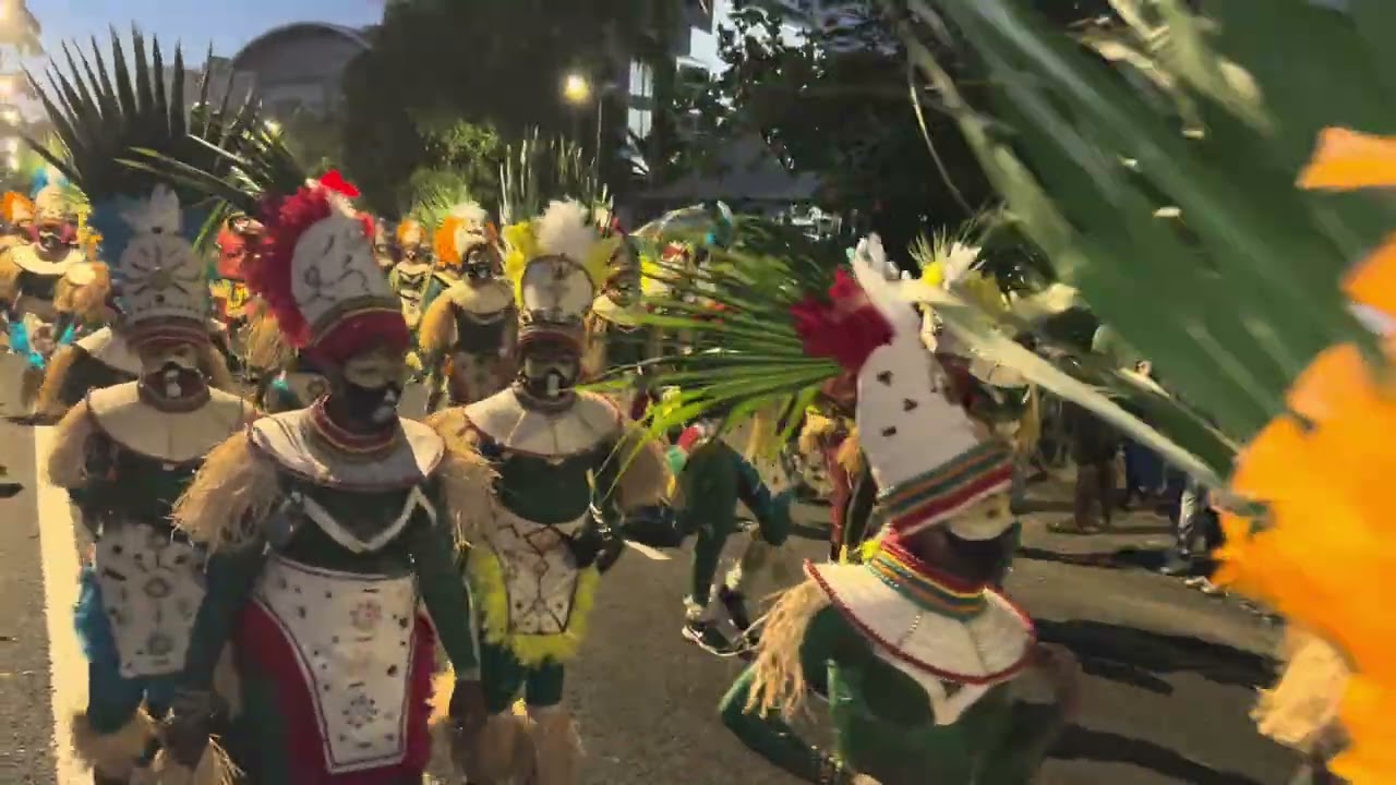 #carnaval2026 #Dimanchegras #PointeàPitre #pointdinterrogation ?