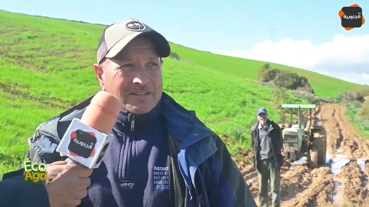 🟢مشاغل الفلاحين من هنشير الشنيتي ببنزرت : أرض دون أمونيتر .. فلاحين هاجروا بسبب الصعوبات و العوائق !