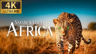 Safari Wildlife Africa 4K 🐾 Discovery Relaxation Wonderful Wildlife Movie With Relaxing Piano Music