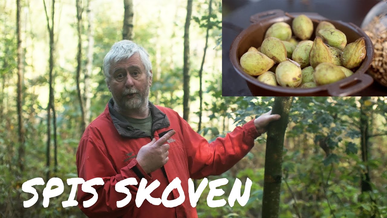 Spis din skov, imens du dyrker den