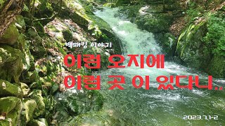 오지 청정계곡 백패킹  #오지계곡  #청정계곡  #계곡치기  #계곡백패킹 #백패킹