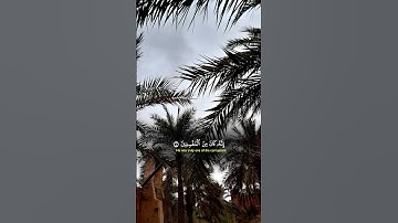تلاوة هادئة #اكسبلور #viral #دويتو #fypシ゚viral #راحة_نفسية #quran #قرآن #تلاوة_خاشعة
