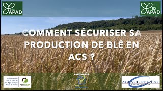 APAD Comment sécuriser sa production de blé en ACS ? - (Hauts-de-France)