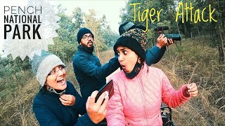 Pench National Park | Tiger Attack | Tiger Safari | Tiger Tracing | Part 2