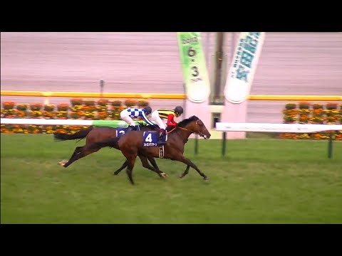 安田記念　1着ストロングリターン号（福永祐一騎手）（個人撮影）2012年6月3日（日）東京競馬場