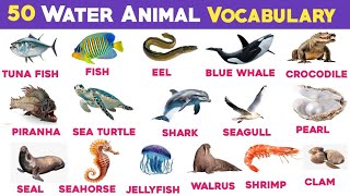 Sea Animal 50 names | Learn sea animals names in English | Kids vocabulary | @Moonstudykids