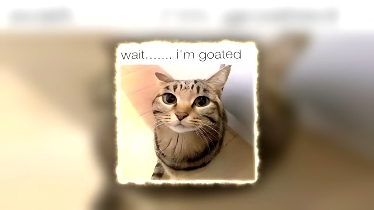 when can i see you again (pluggnb remix) (wait i`m goated)