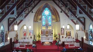 Our Lady of Ostrabrama: 11:00am Mass - 13th Sunday in Ordinary Time 6/28/2026