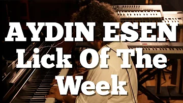 AYDIN ESEN Lick Of The Week #2 | CHECK IT OUT!