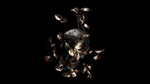 Unreal Engine 5.4 Motion Design skull animatation