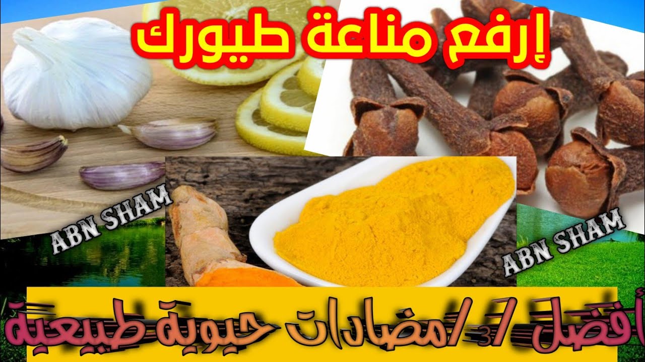 افضل 3 مضادات حيوية طبيعية قدمها وشاهد الفرق  بصحة طيورك المكونات موجودة في كل بيت( الجزء الأول )