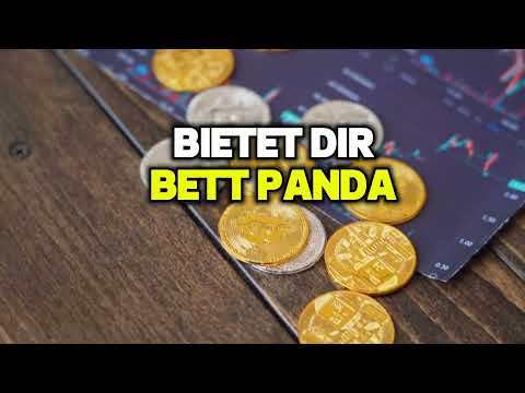 Auswahl der besten Auszahlungsmethode bei Hadesbet