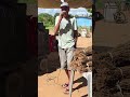 cantor fulore está bombando todos os dias