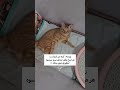 دیدن این ویدیو مناسب اونایی که قلبای مهربونی دارن اصلا توصیه نمیشه چون به پهنای صورت باهاش اشک میریز دیدن این ویدیو مناسب اونایی که قلبای مهربونی دارن اصلا توصیه نمیشه چون به پهنای صورت باهاش اشک میریز