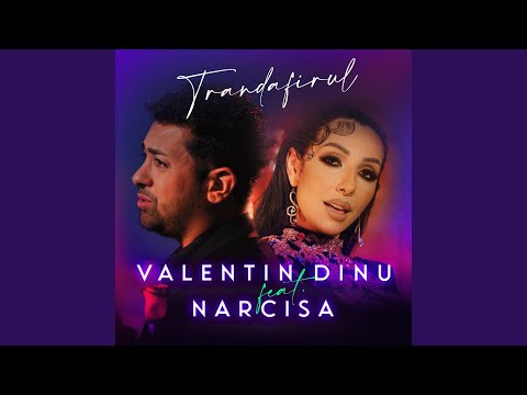 Video: Trandafirul Crimeii