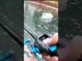 雨の日バス釣りはマジでやばい！春のバス釣り攻略方がこちら！ #バス釣り #fishing
