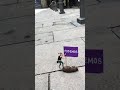 PODEMOS es una m_ _ _ _ a – street art video Barna, urban art BCN, graffiti video