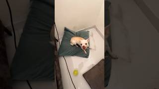 Niki Blessing Her Kids