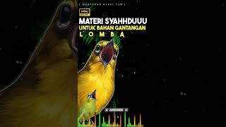 Download Lagu Masteran Pleci Syahdu Tembakan Panjang Untuk Pleci bahan Pleci Lomba MP3