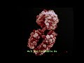 Purity Ring - graves (Official Audio)