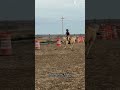 #horse