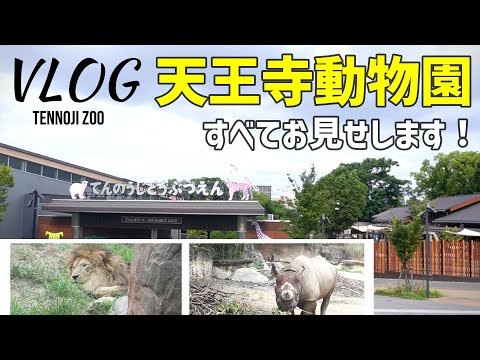 大阪市 天王寺動物園!全部見せます【Vlog】tennoji zoo