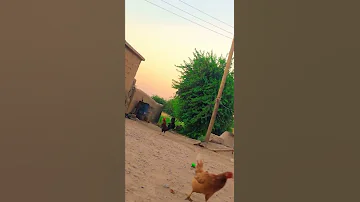 الريف السوري Syrian Countryside 