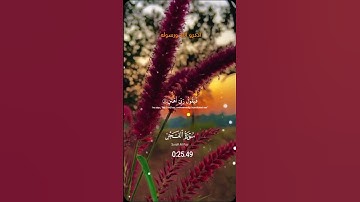 #قران_كريم #اكسبلور #دويتو #تلاوة_خاشعة #ارح_قلبك #لايك #quran #راحة_نفسية