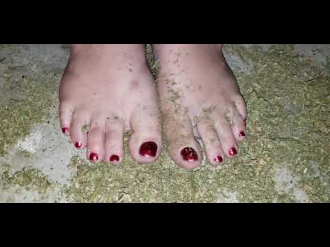 Barefoot At Harvest Time. In My Smoking Shed, Crushing Pot With Barefeet.