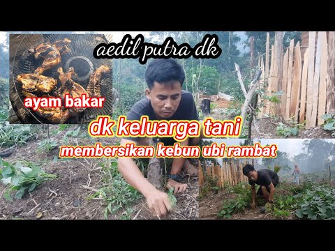 Video: Bagaimana Cara Mulai Pergi Ke Kebun?