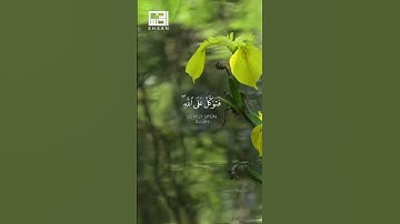 إِنَّ رَبَّكَ يَقْضِي بَيْنَهُم بِحُكْمِهِ ۚ وَهُوَ …  #هزاع_البلوشي  #سورة_النمل الآيات 78-79