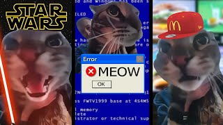 Cat Meows into door camera meme but MOST POPULAR TUNES