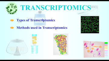 Transcriptomics