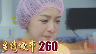 EP260 ...|Golden City
