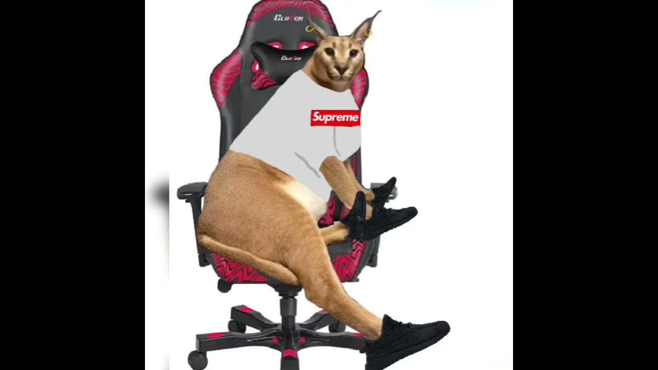 Все рецепты в raise a floppa. Роблокс raise a floppa. Флоппа кот. Raise a floppa roblox бингус. Флоппа в тележке roblox.