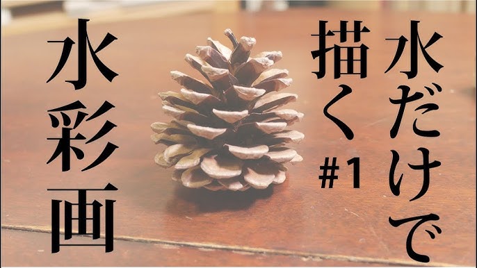 松ぼっくりの書き方実演 Youtube 松ぼっくりの書き方実演 Youtube